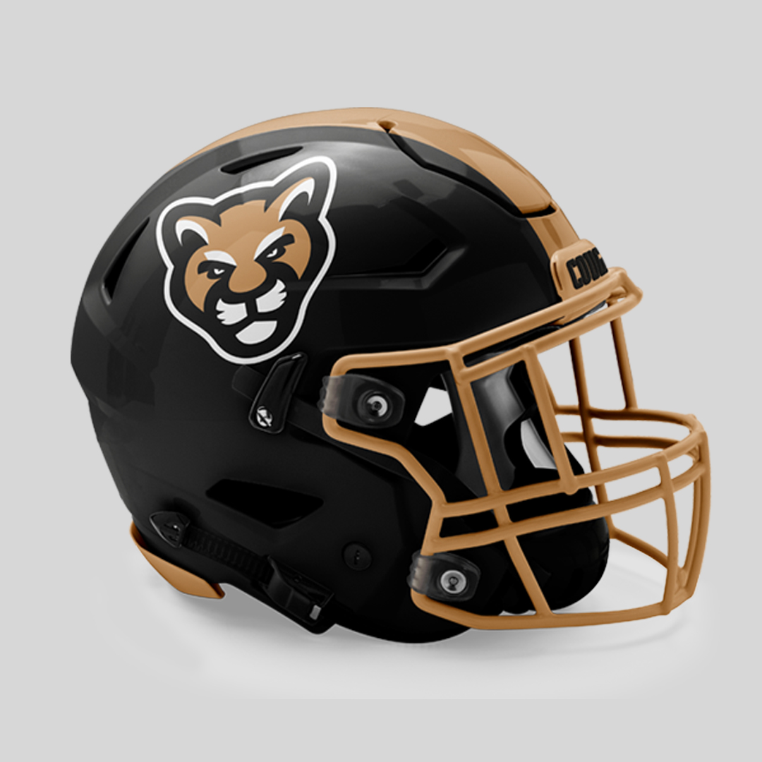 Cougars Sports Identity